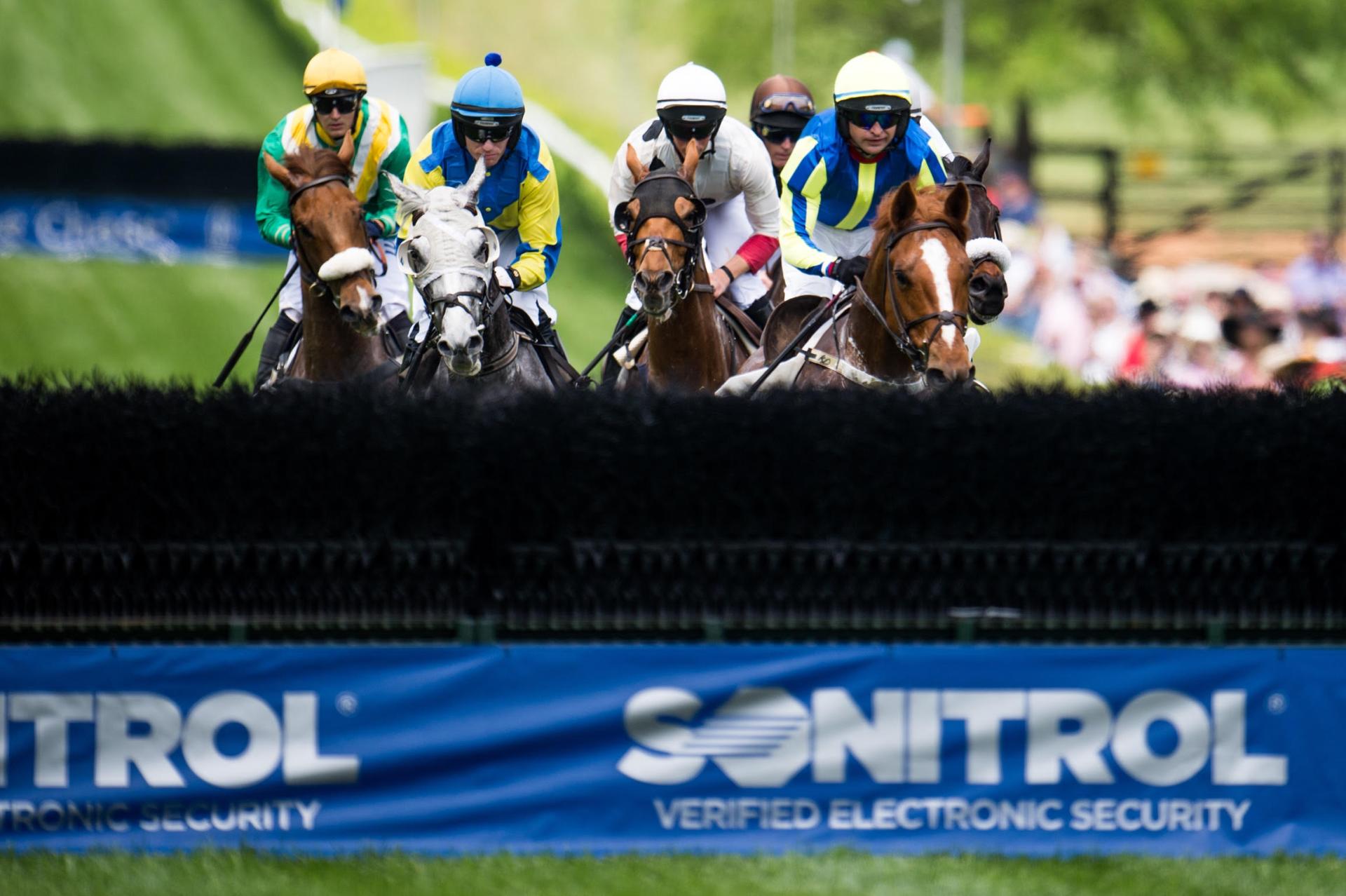 Queen's Cup Steeplechase